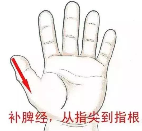 补脾经.jpg 补脾经.jpg